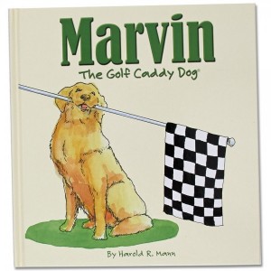 poor-marvin